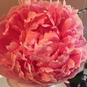 Meet your Posher, Heidi